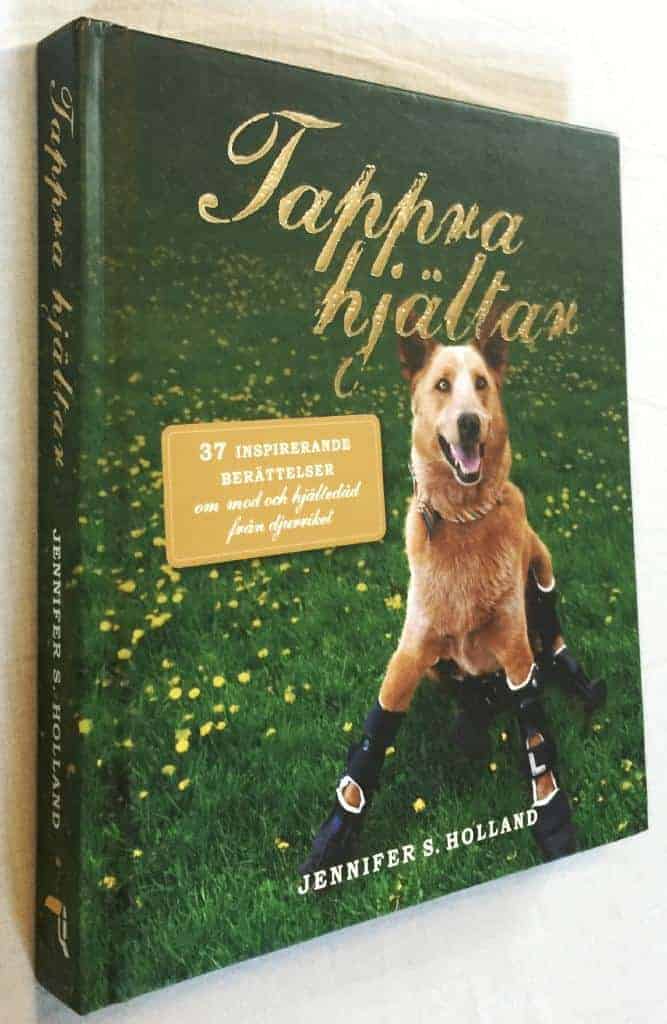 Jennifer S Holland : Tappra hjältar