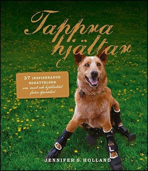 Jennifer S. Holland : Tappra hjältar