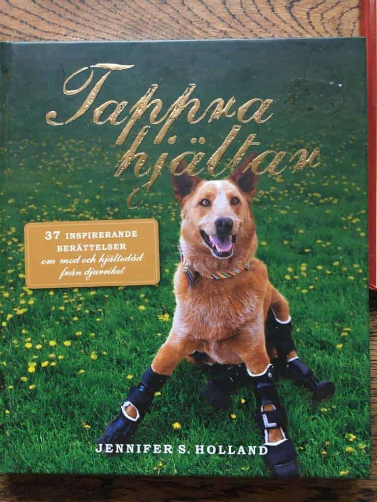Jennifer S. Holland : Tappra hjältar