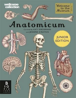 Jennifer Z Paxton : Anatomicum Junior