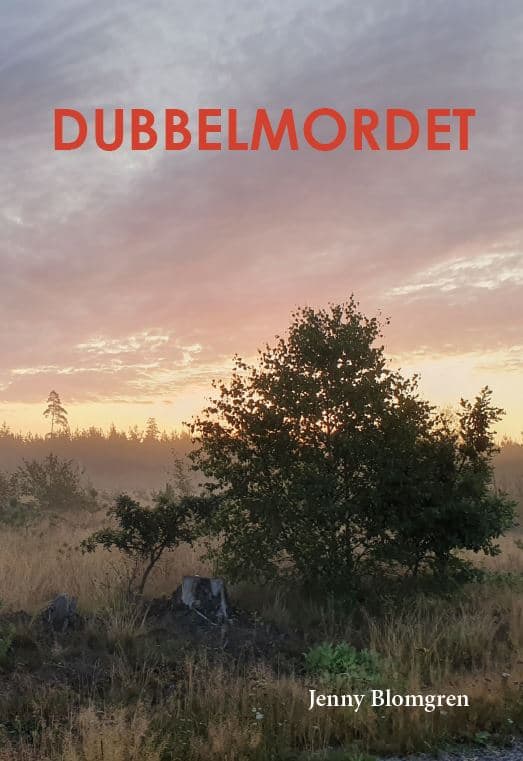 Jenny Blomgren : Dubbelmordet