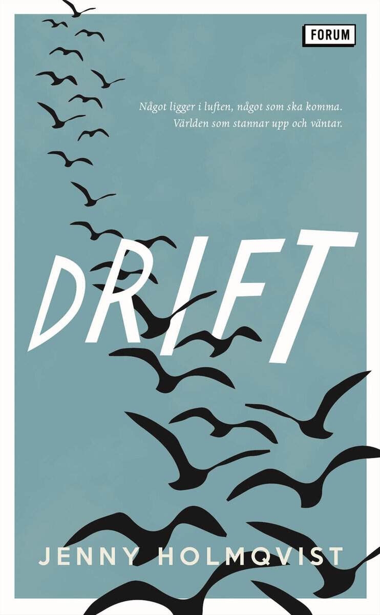 Jenny Holmqvist : Drift