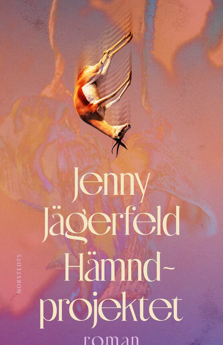 Jenny Jägerfeld : Hämndprojektet
