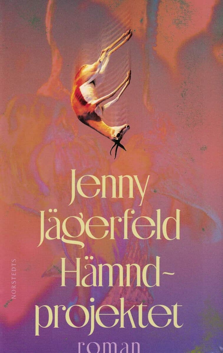 Jenny Jägerfeld : Hämndprojektet