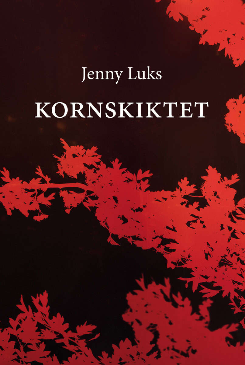 Jenny Luks : Kornskiktet