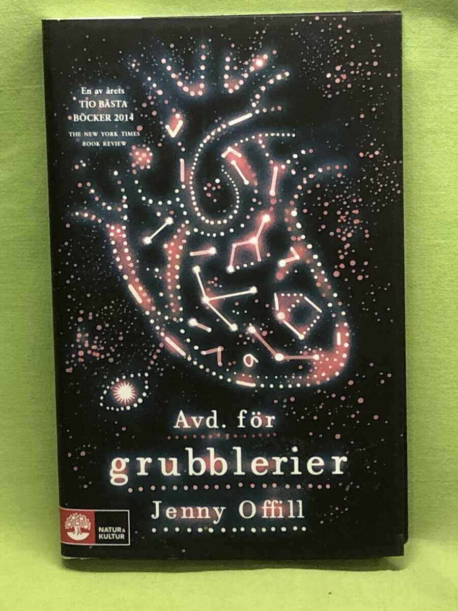 Jenny Offill : Avd. för grubblerier