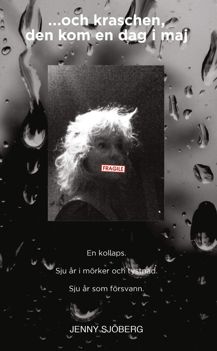 Jenny Sjöberg : ...och kraschen, den kom en dag i maj