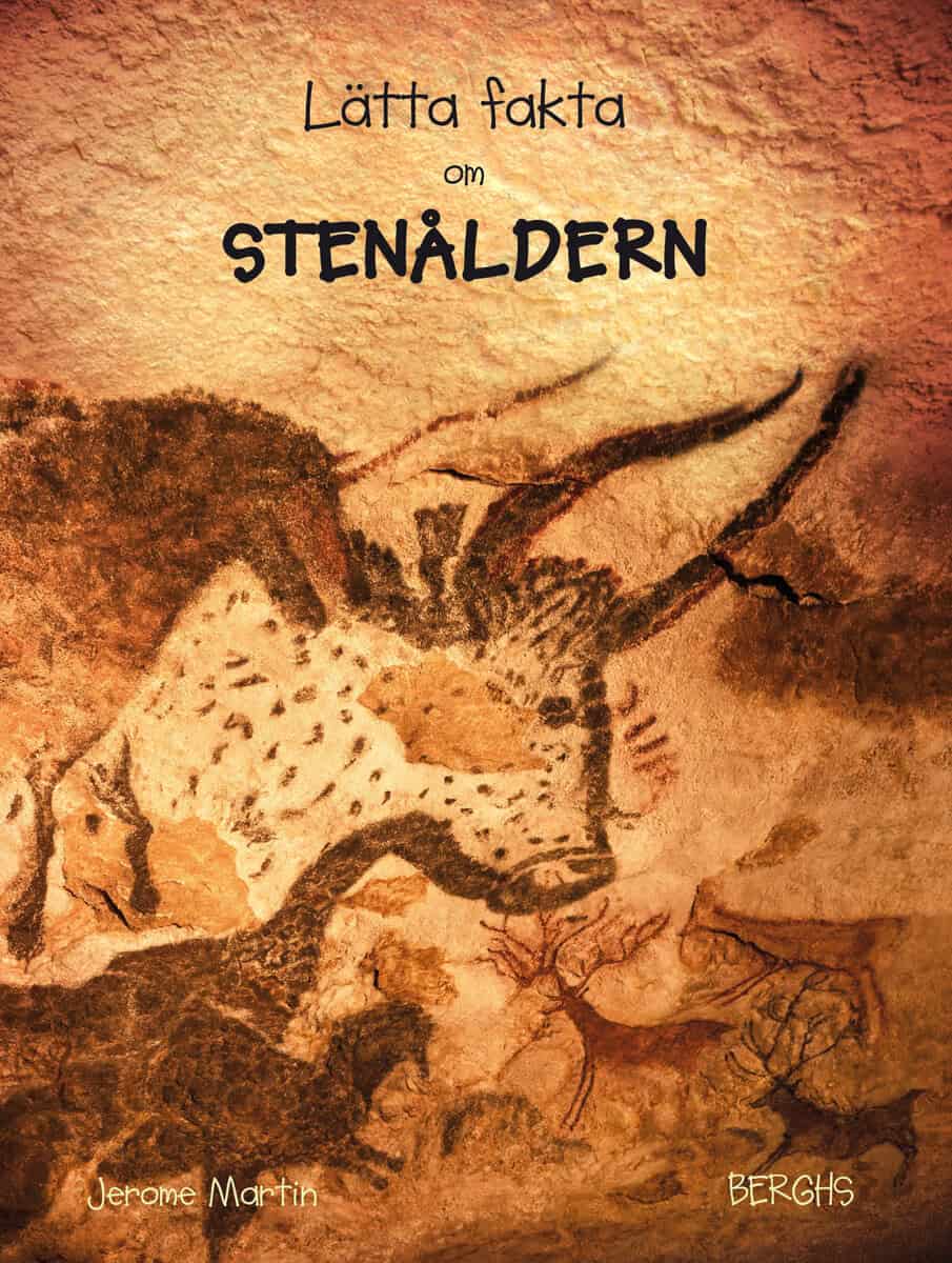 Jerome Martin : Lätta fakta om stenåldern