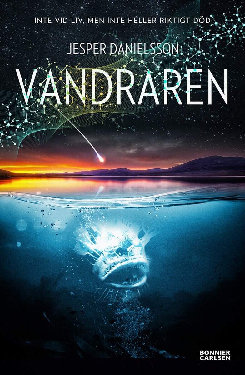 Jesper Danielsson : Vandraren