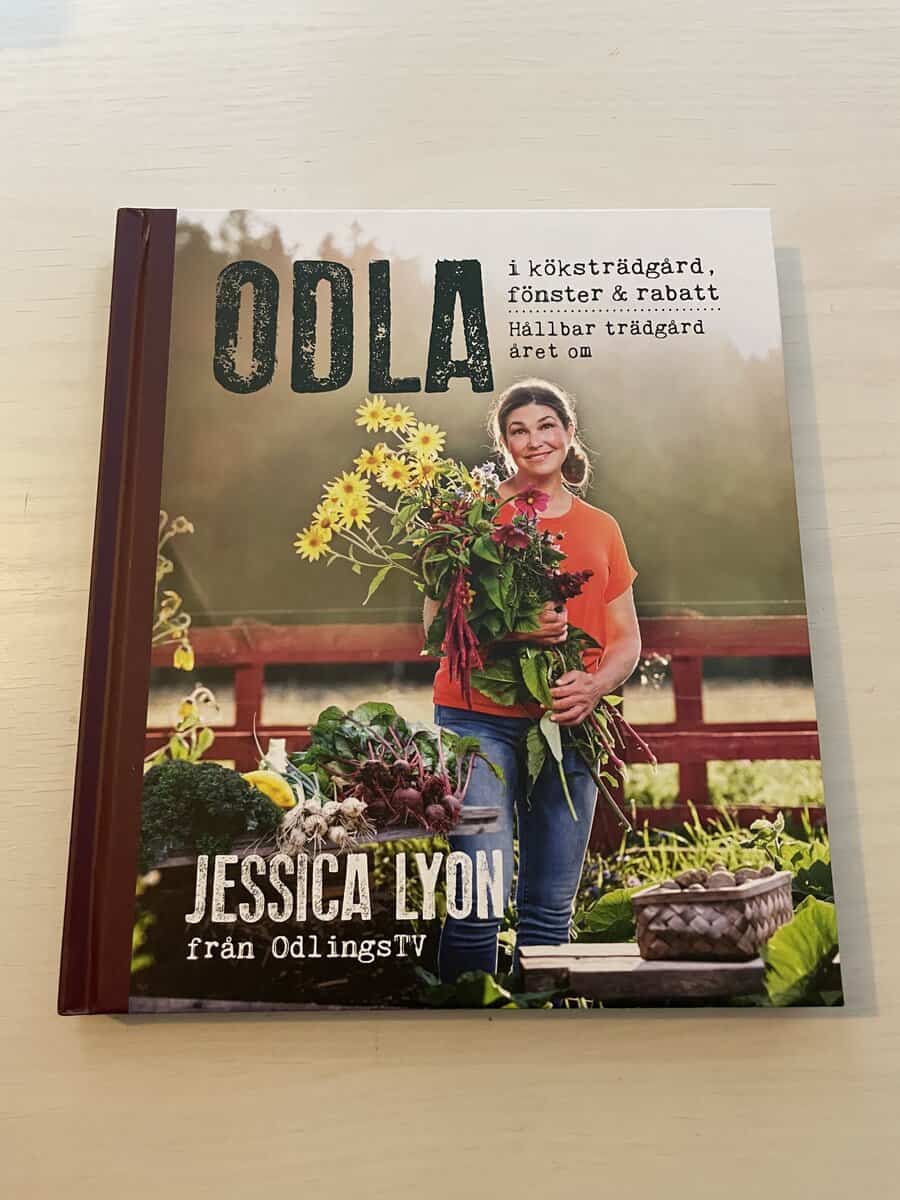 Jessica Lyon : Odla i köksträdgård, fönster & rabatt