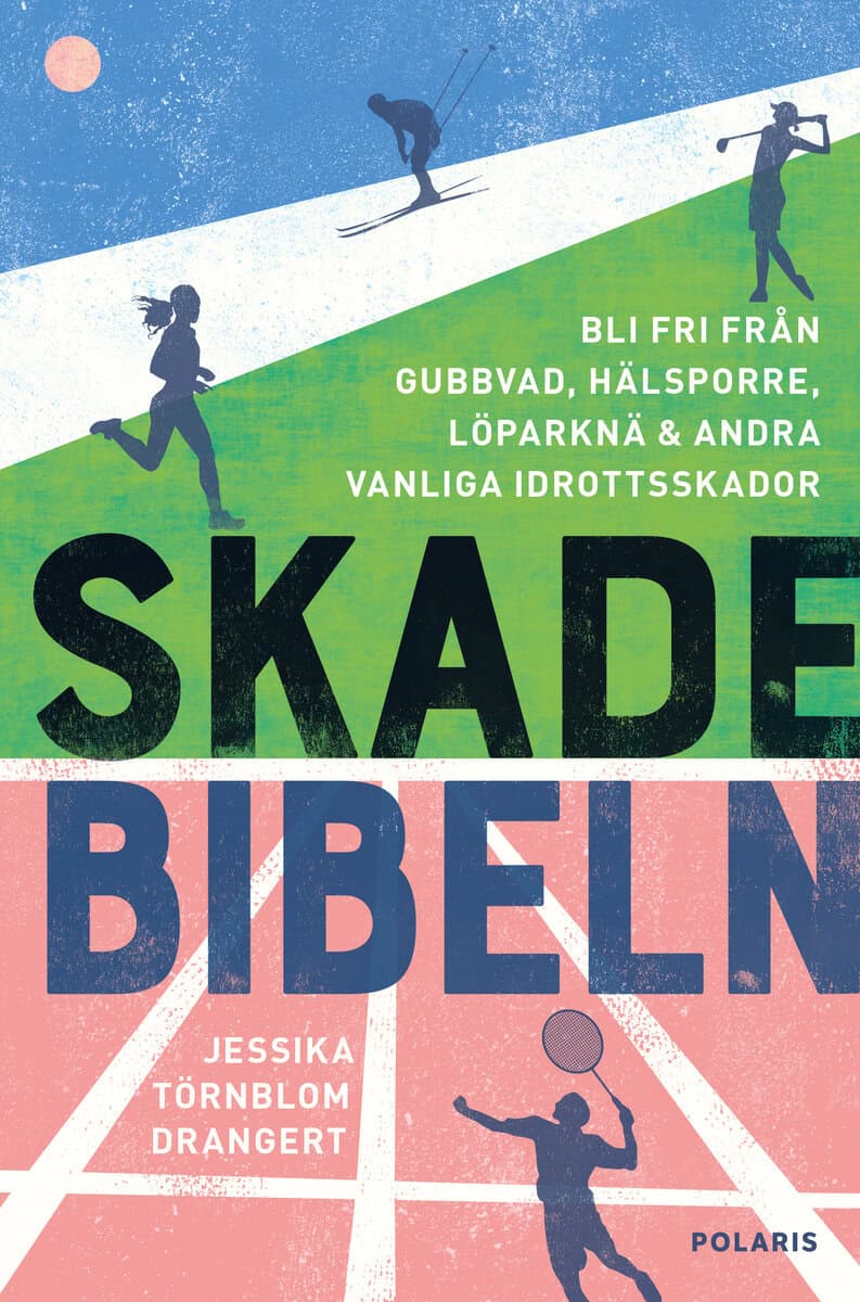 Jessika Törnblom Drangert : Skadebibeln