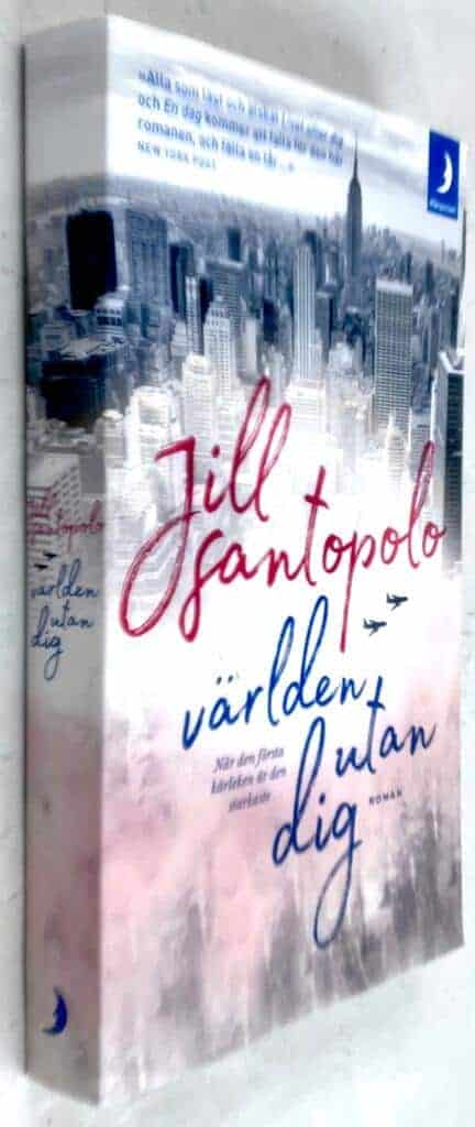 Jill Santopolo : Världen utan dig