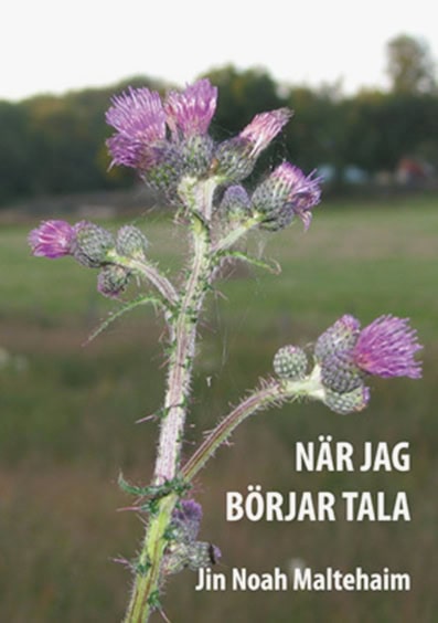 Jin Noah Maltehaim : När jag börjar tala