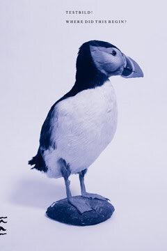 Joakim Norling : Where did this begin? : Testbild!