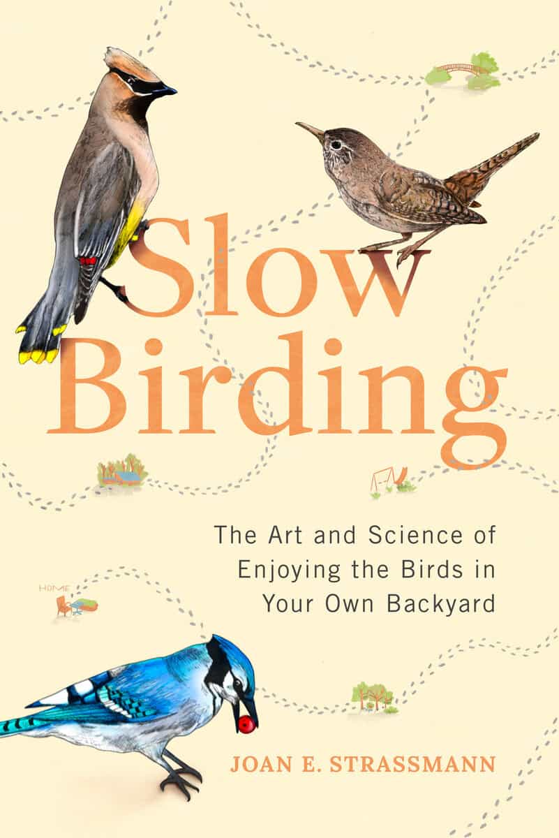 Joan E. Strassman : Slow Birding