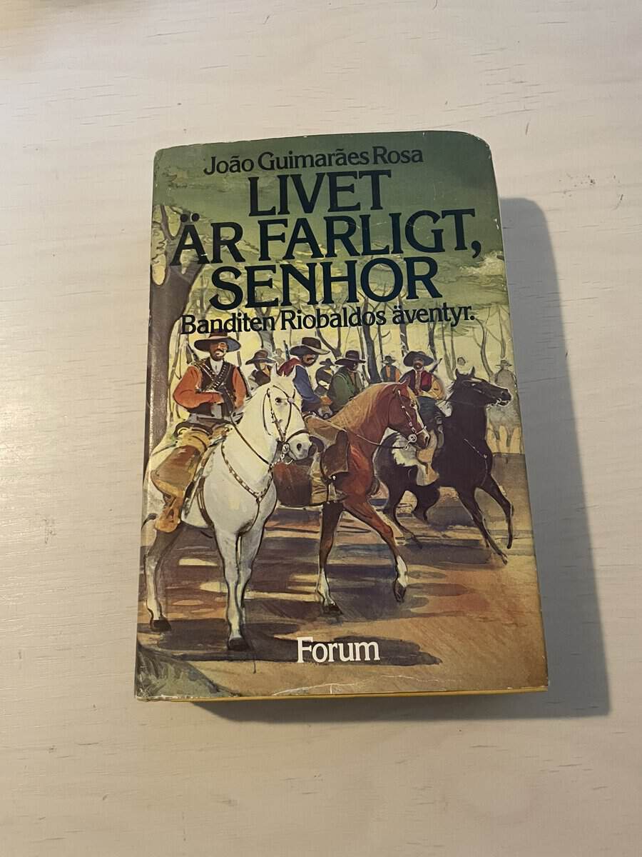 João Guimarães Rosa : Livet är farligt, senhor