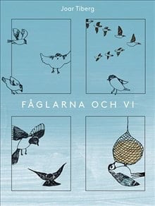 Joar Tiberg : Fåglarna och vi