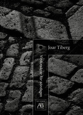 Joar Tiberg : Vindutsikter för söndagen
