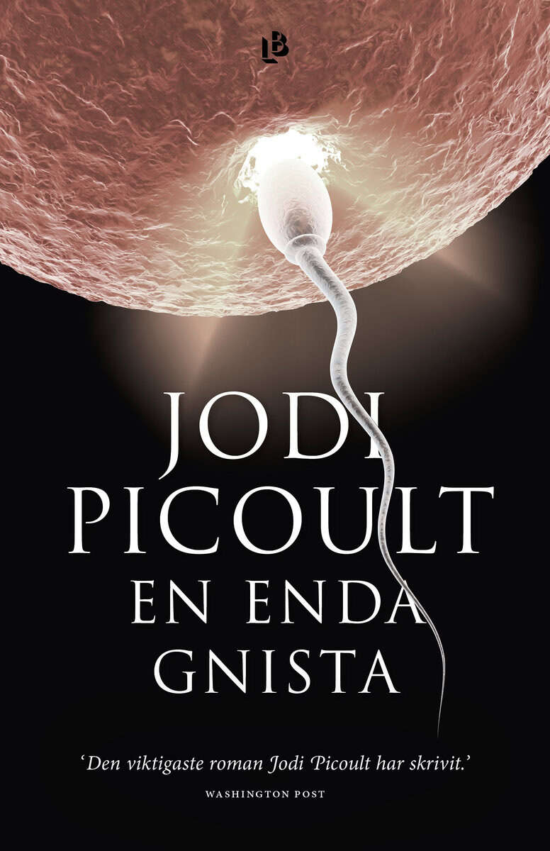 Jodi Picoult : En enda gnista
