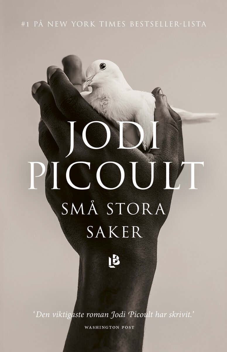Jodi Picoult : Små stora saker