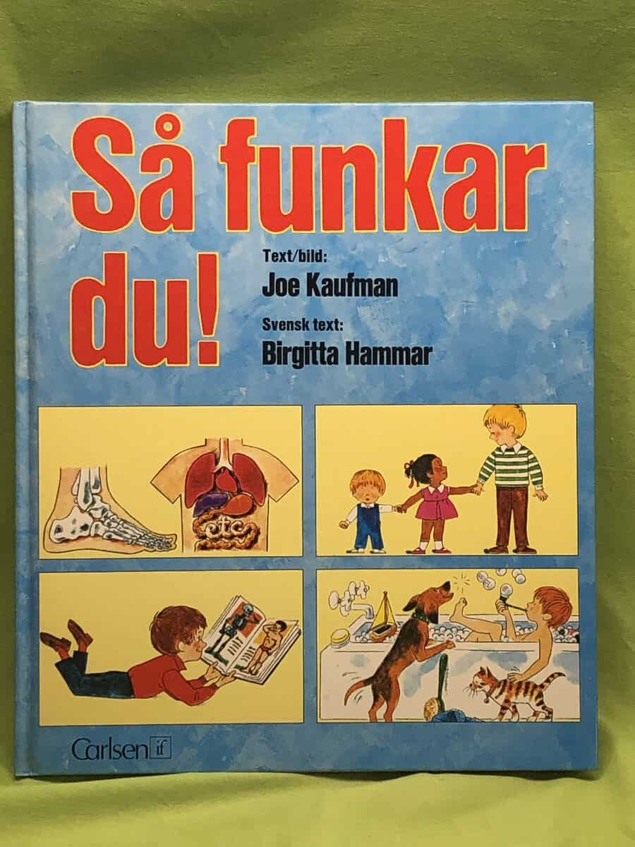 Joe Kaufman : Så funkar du!