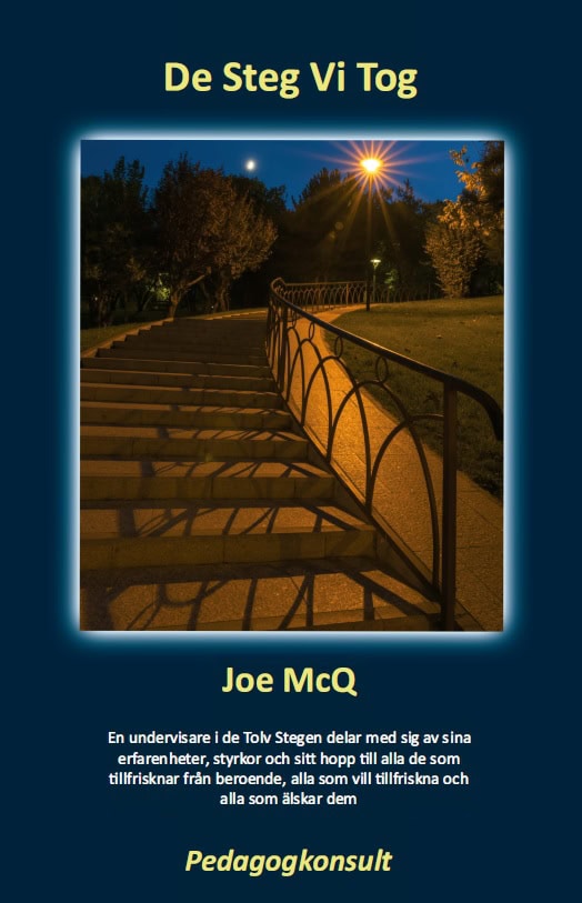 Joe McQ : De steg vi tog