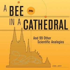 Joel Levy : A BEE IN A CATHEDRAL