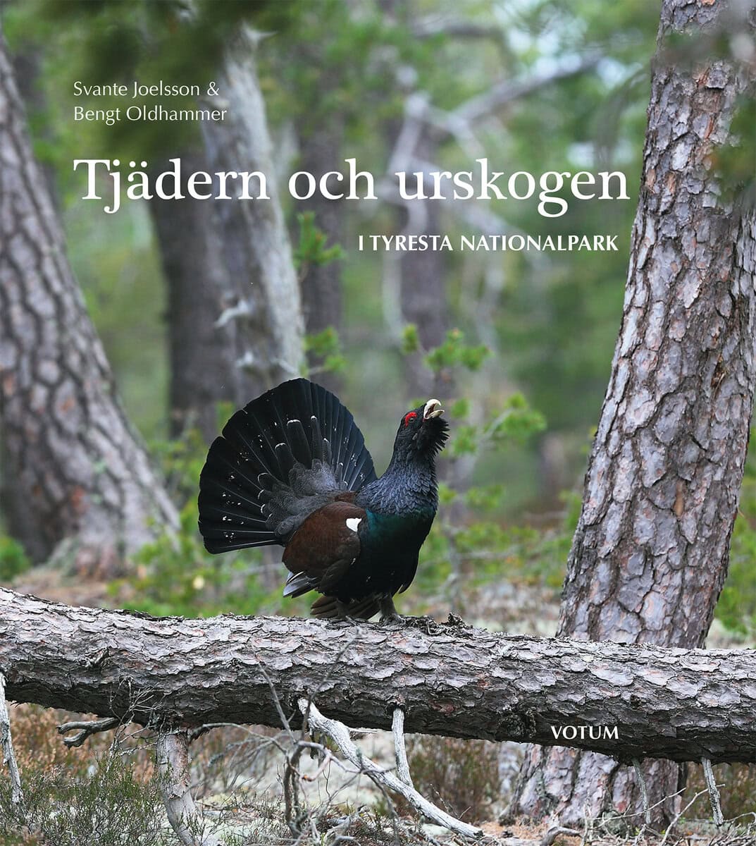 Joelsson, Svante ; Oldhammer, Bengt : Tjädern och urskogen : i Tyresta nationalpark