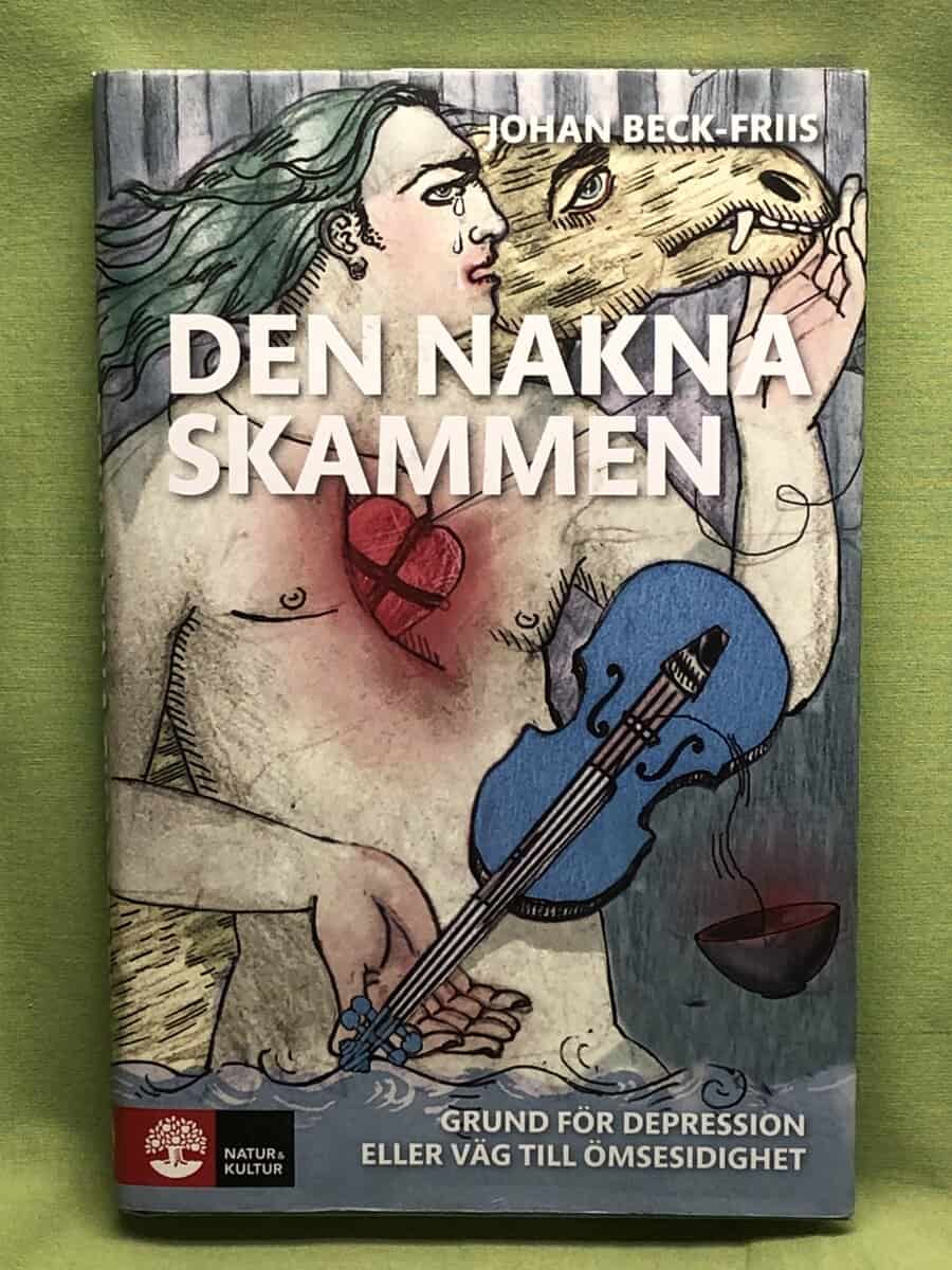 Johan Beck-Friis : Den nakna skammen