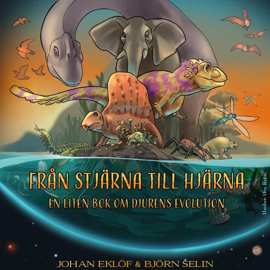 Johan Eklöf : Från stjärna till hjärna : en liten bok om djurens evolution