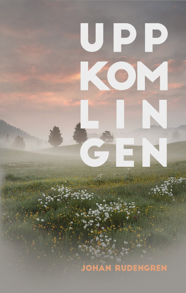Johan Rudengren : Uppkomlingen