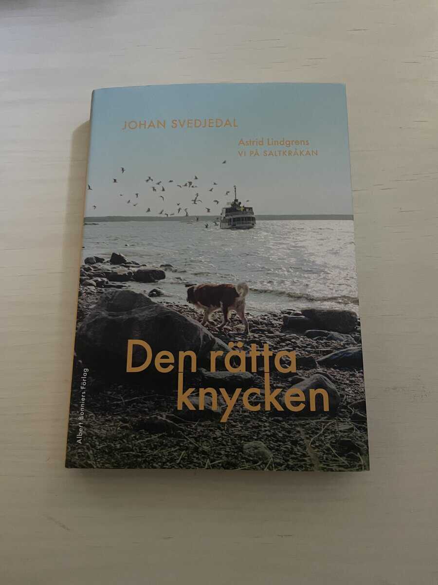 Johan Svedjedal : Den rätta knycken