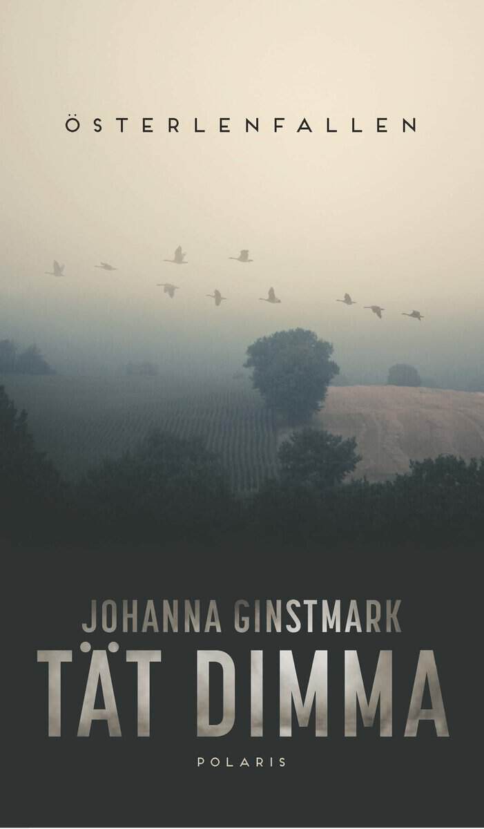 Johanna Ginstmark : Tät dimma
