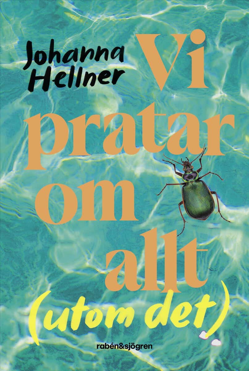 Johanna Hellner : Vi pratar om allt (utom det)