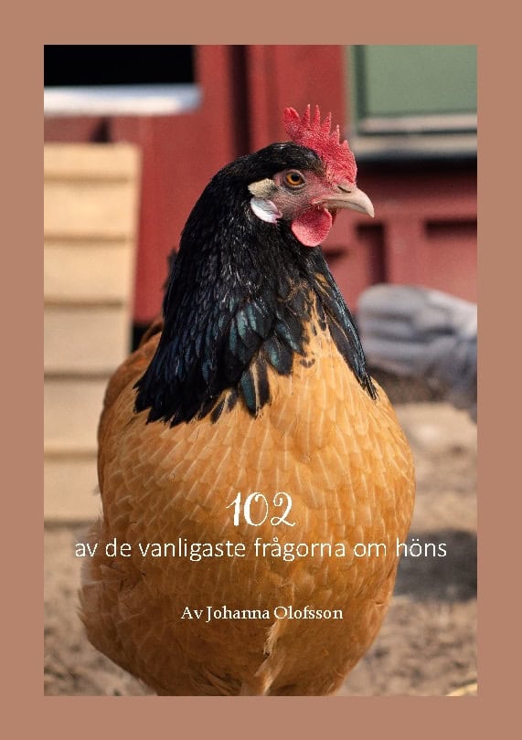 Johanna Olofsson : 102 av de vanligaste frågorna om höns