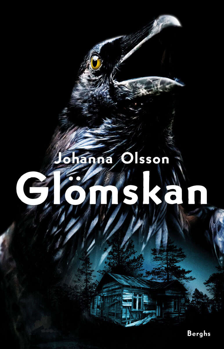 Johanna Olsson : Glömskan