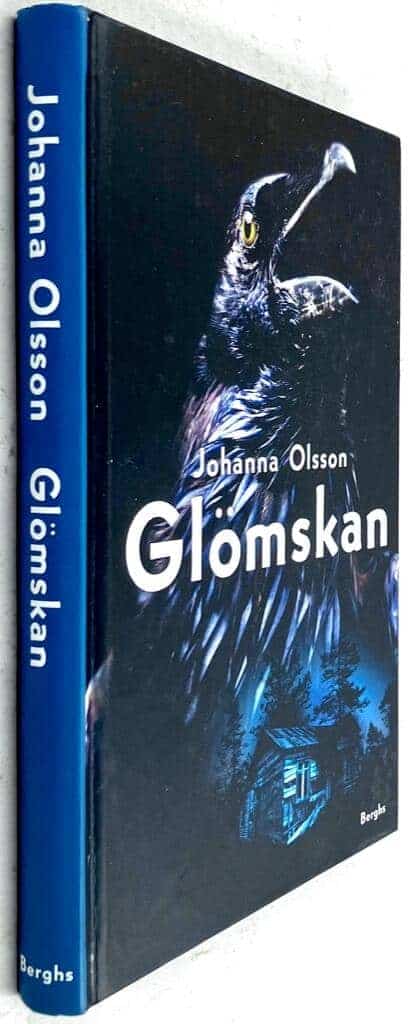 Johanna Olsson : Glömskan