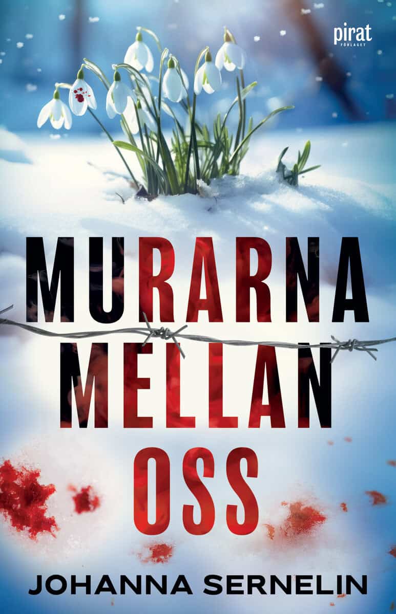 Johanna Sernelin : Murarna mellan oss