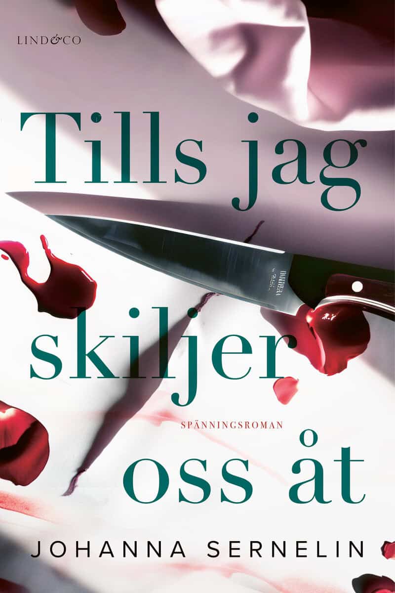 Johanna Sernelin : Tills jag skiljer oss åt