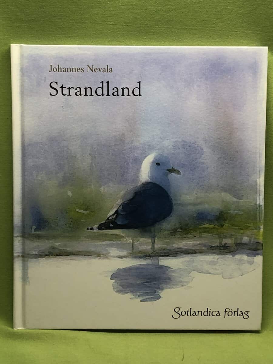 Johannes Nevala : Strandland