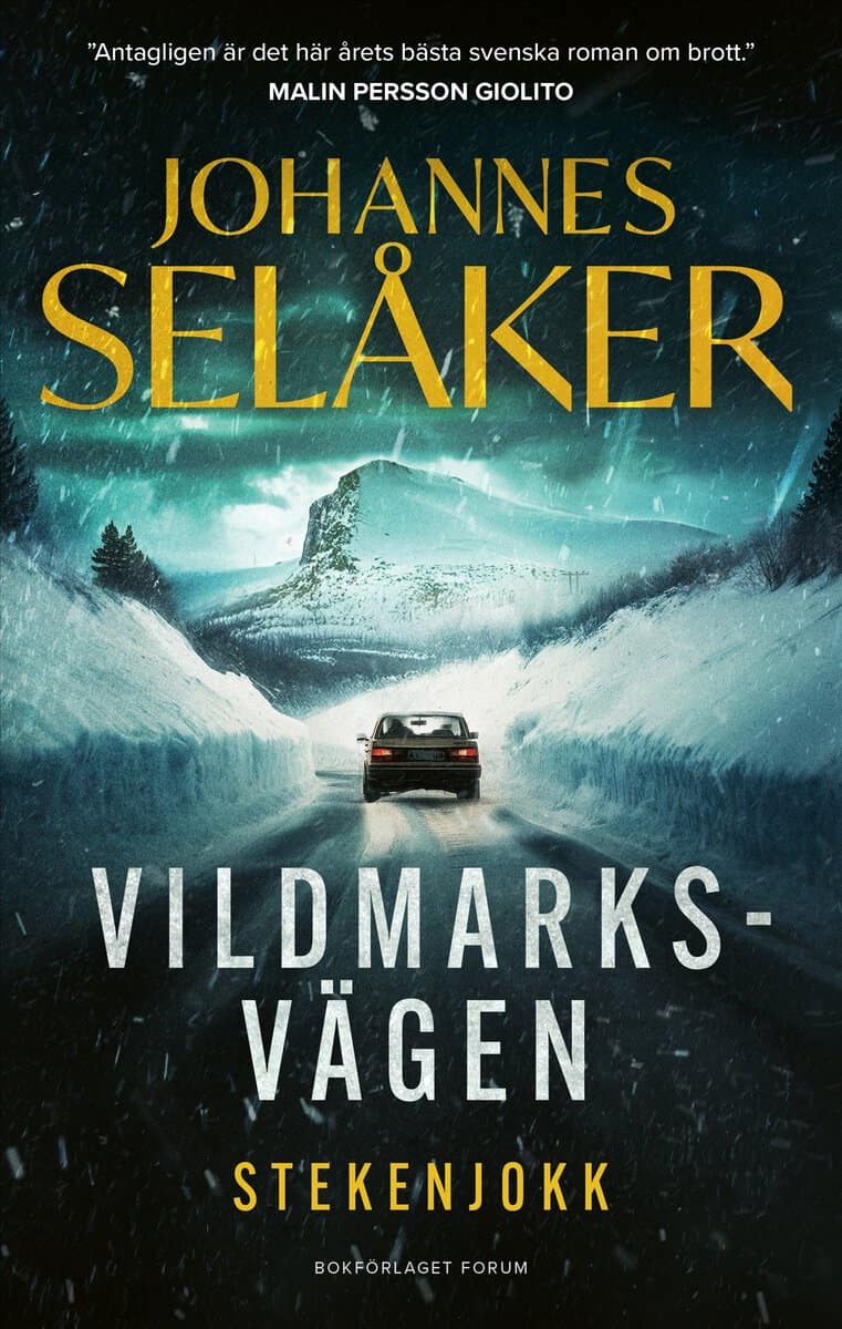 Johannes Selåker : Stekenjokk
