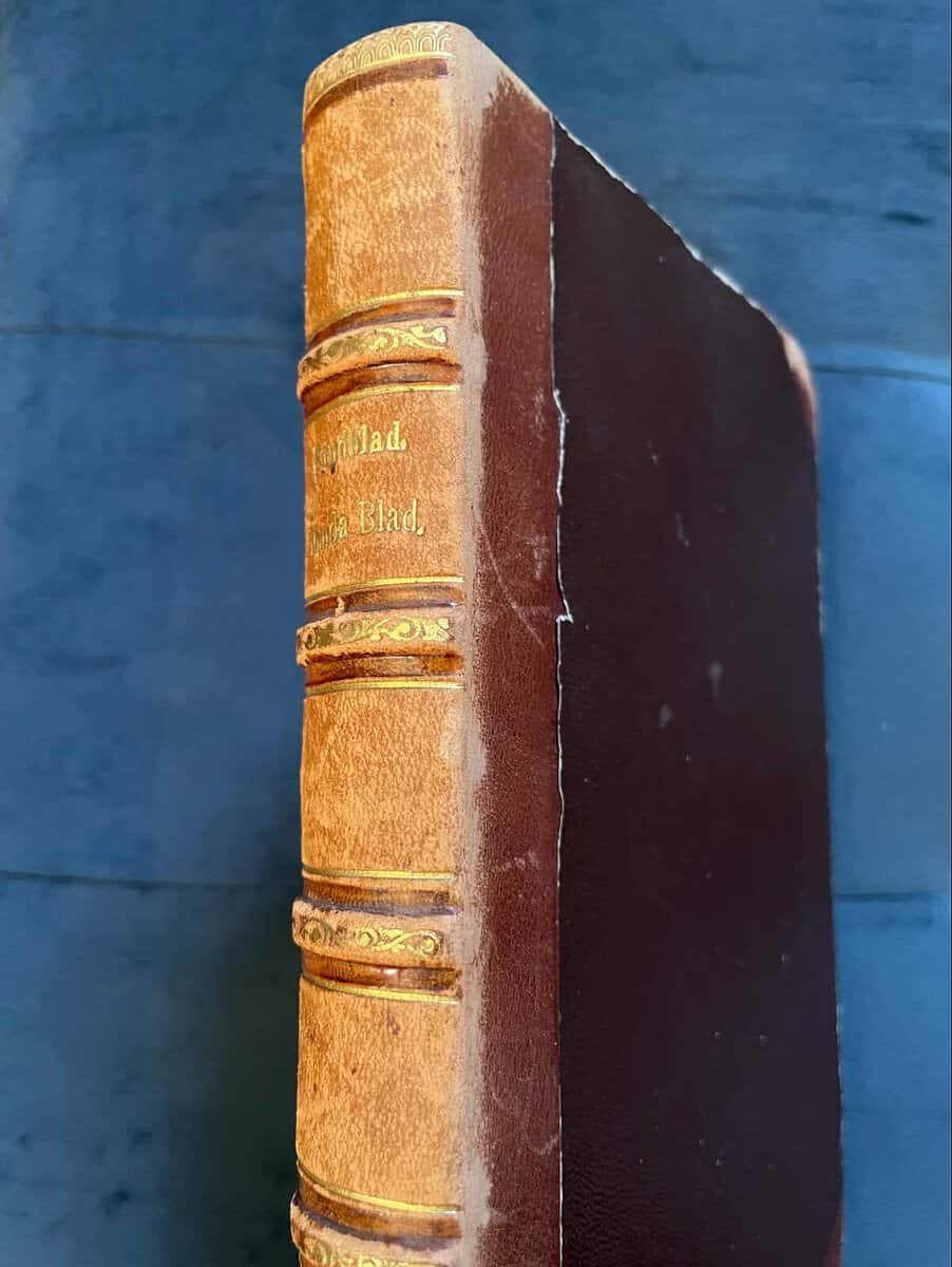Johannes Sundblad : Gömda blad