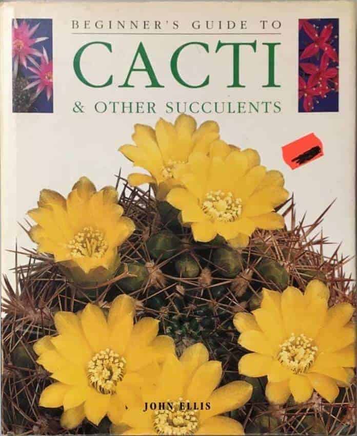 John Ellis : Beginners guide to Cacti & other succulents