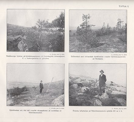 John Frödin : Studier över skogsgränserna i norra delen av Lule lappmark. Med 3 tavlor och 10 textfigurer