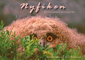 John, Johanna ; Bengtsson, Hilda : Nyfiken
