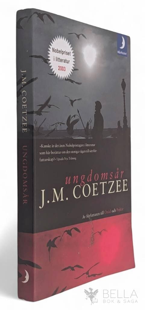 John M Coetzee : Ungdomsår