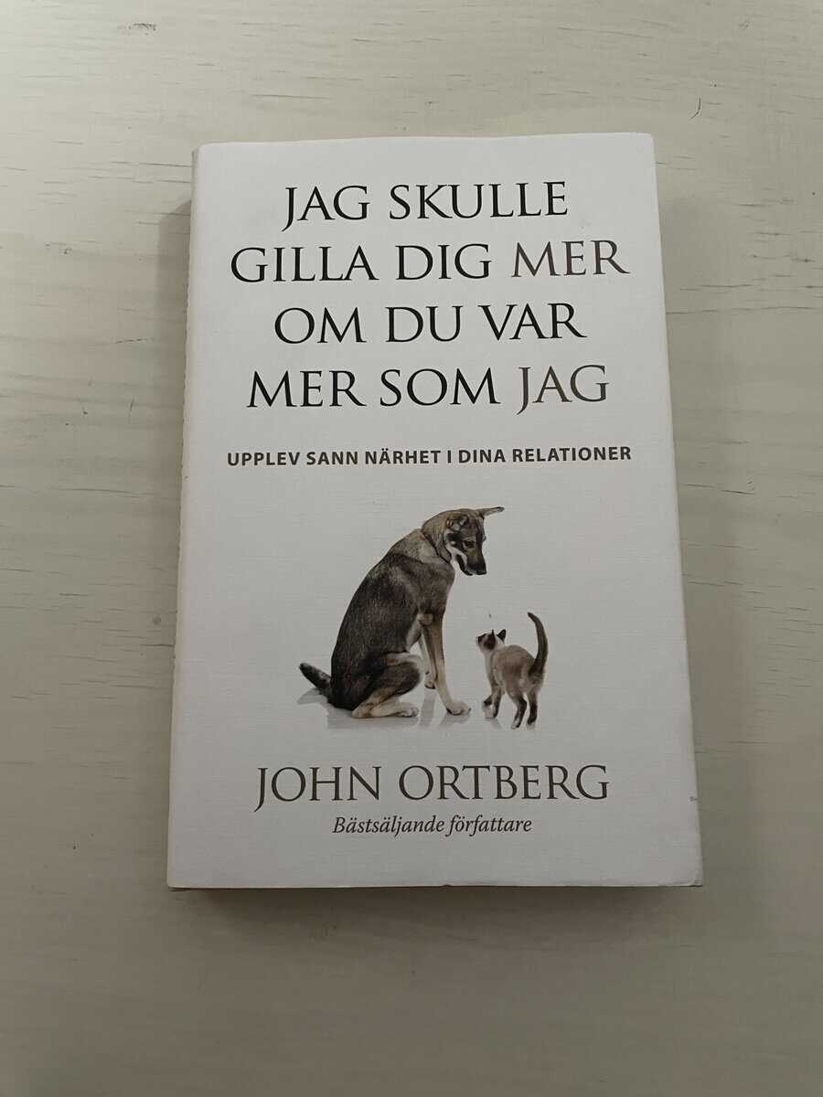 John Ortberg : Jag skulle gilla dig mer om du var mer som jag