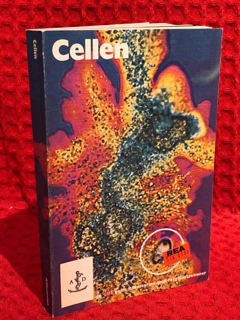 John Pfeiffer : Cellen