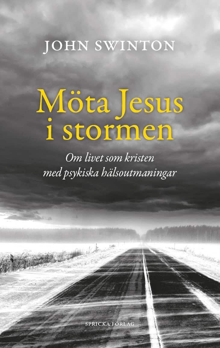 John Swinton : Möta Jesus i stormen : om livet som kristen med psykiska hälsoutmaningar