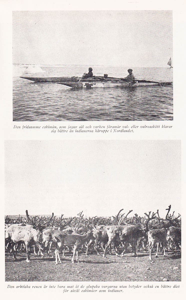 John Walterson : Canadas arktis och dess nya karta